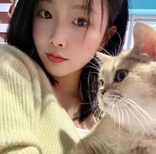 黄色直播免费下载用户李小姐的头像